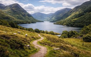 connemara-montagnes-lac-moutons-sentier