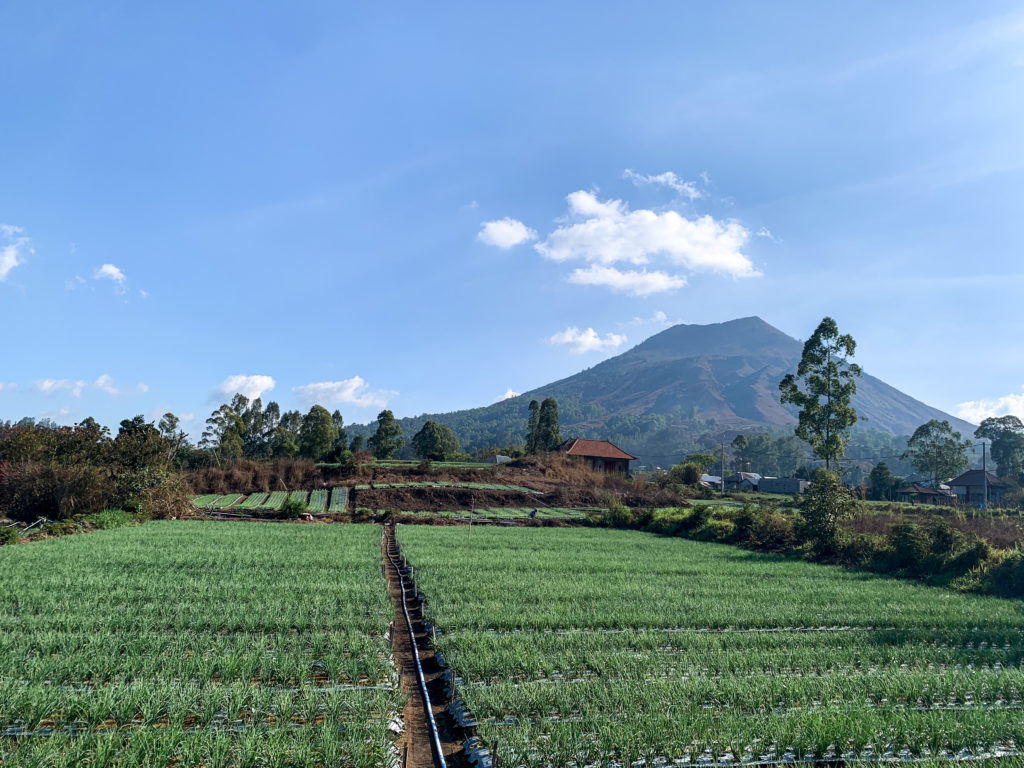 Que faire à Bali : Mont Batur