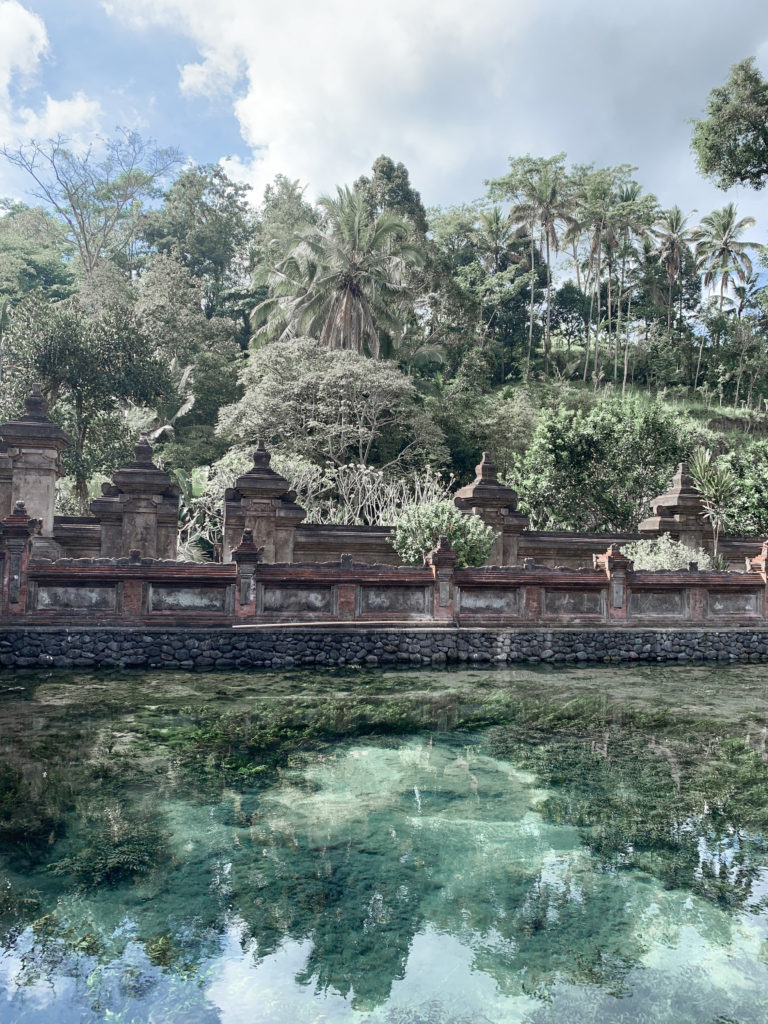 Que faire à Bali ? Ubud