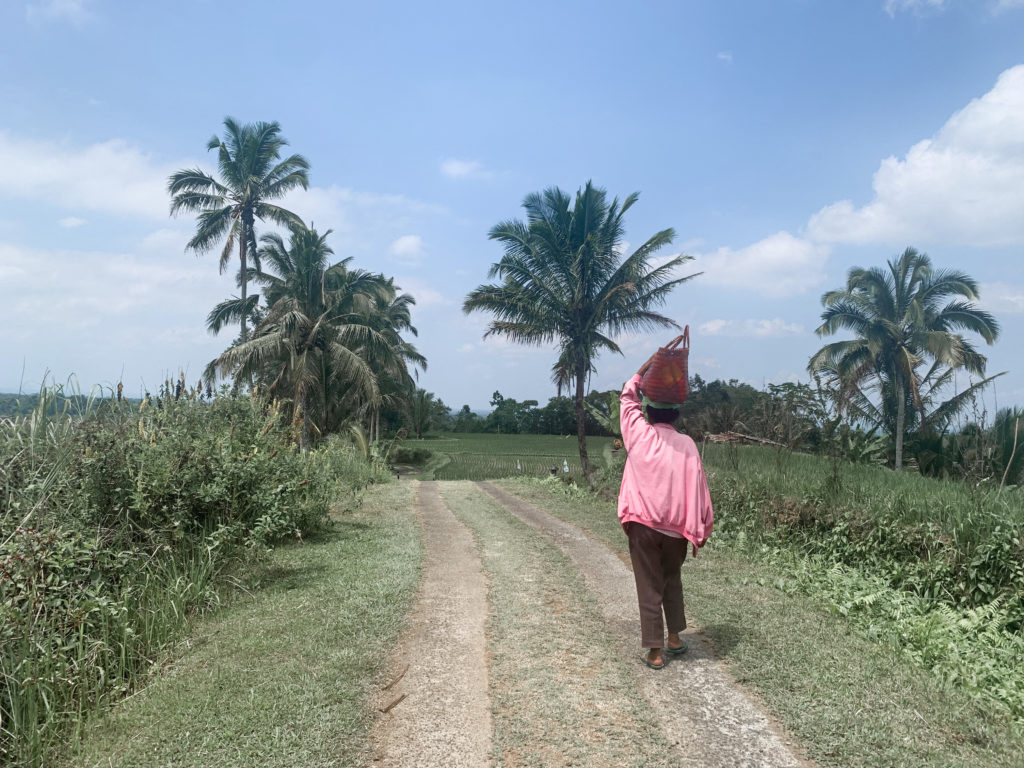 Que faire à Bali ? Ubud