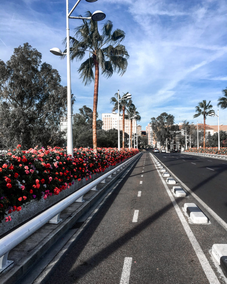 Puente de las floras - Valencia