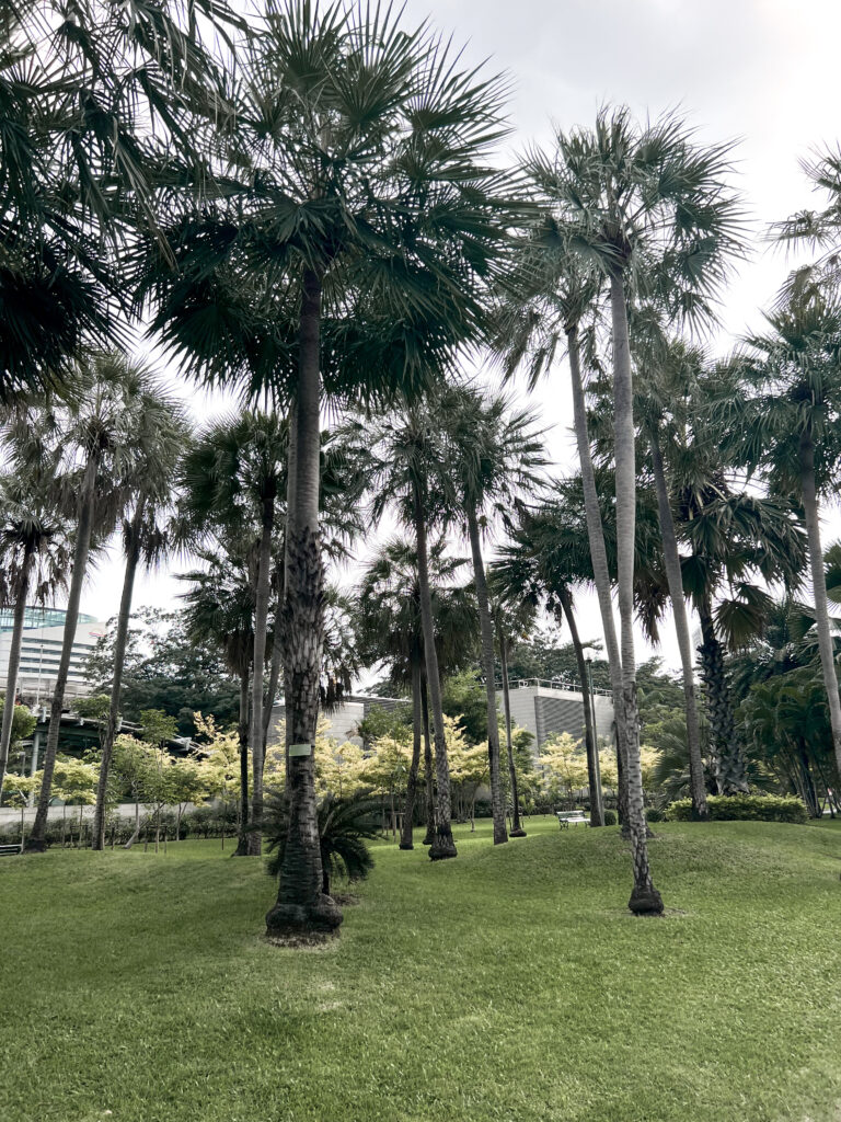 Que faire à Bangkok ? Le Chatuchak parc