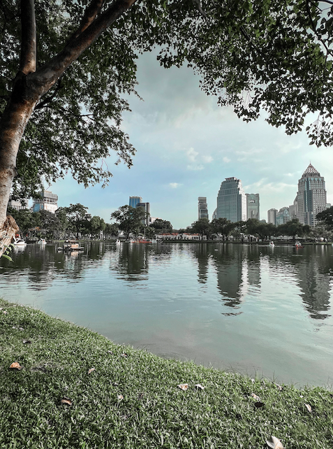 Que faire à Bangkok en 5 jours ? Lumpini Park