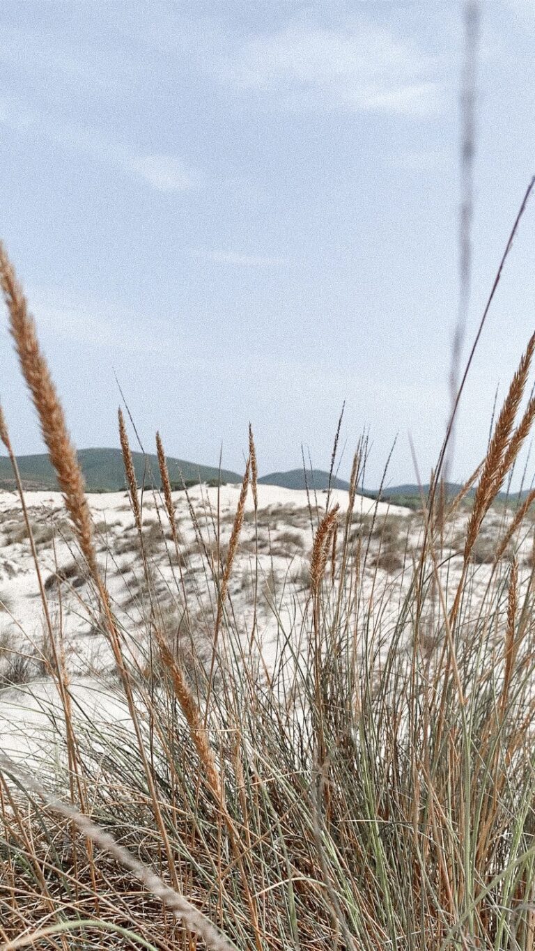 Dunes Is Arenas Domus de Maria Sardaigne