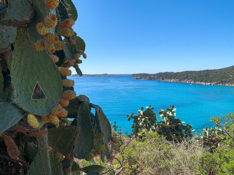 Randonnée Torre Vechia Villasimius Sardaigne