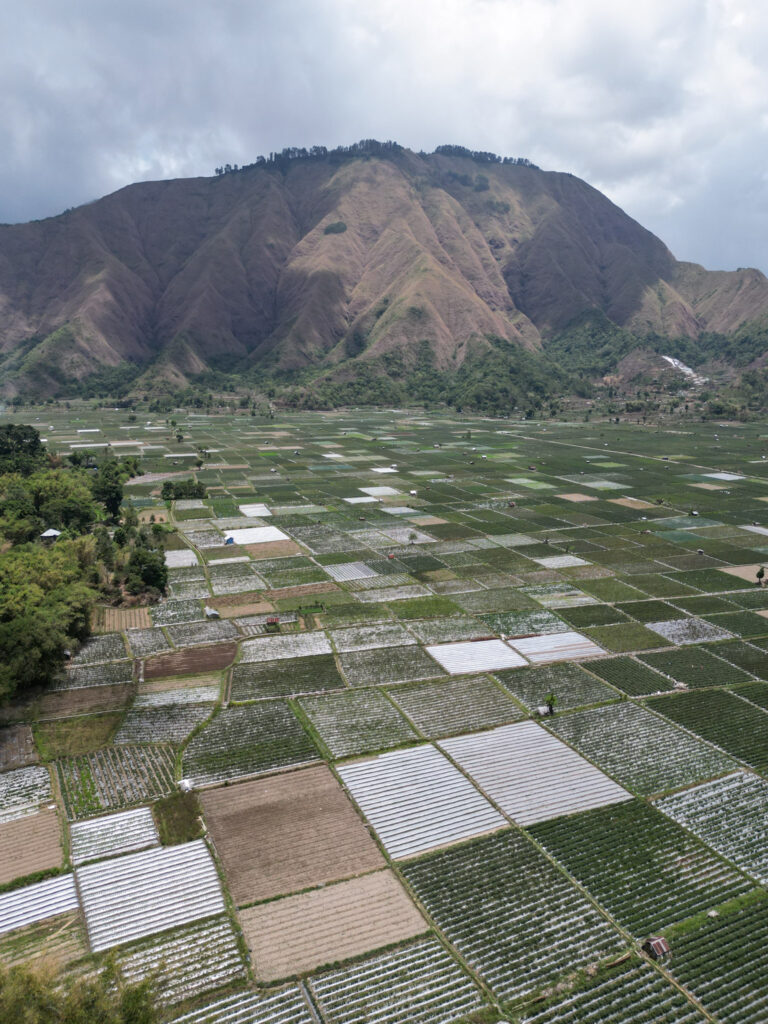 Bukit Selong Sembalun Lombok Indonesie