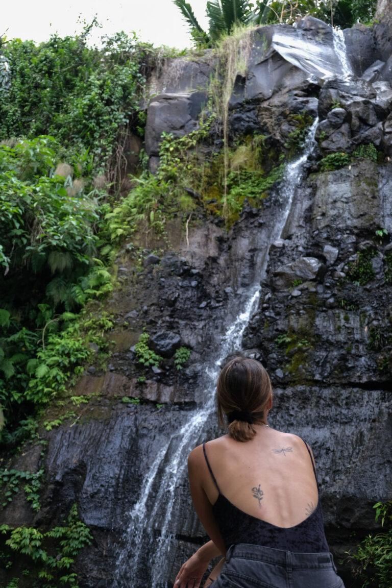 Rizières Tetebatu Lombok Indonesie